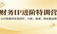 财务IP进阶特训营：从IP搭建到变现闭环，代账，做课，朋友圈运营