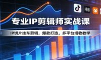 专业IP剪辑师实战课:IP切片挂车剪辑,爆款打造,多平台增收教学