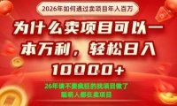 一单净利润1K+,26年想年入100个W,死磕卖项目就够了【揭秘】
