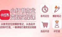 小红书商业变现实操课：从账号定位到爆款笔记，从选品开店到IP打造，一套课程打通变现全链路