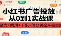 小红书广告投放从0到1实战课:聚光+乘风+千帆+蒲公英全平台实操
