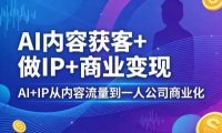 AI内容获客+做IP+商业变现，AI+IP从内容流量到一人公司商业化(完结)