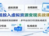 低投入虚拟资源变现实战课:合规版权类目解析,多平台SEO引流私域成交