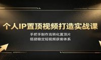 个人IP置顶视频打造实战课:手把手制作高转化置顶片,搭建稳定短视频获客体系