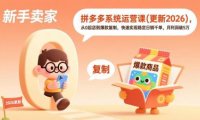 拼多多系统运营课(更新7月