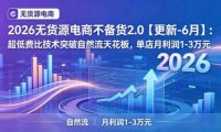 2026无货源电商不备货2.0【更新-7月】:超低费比技术突破自然流天花板,单店月利润1-3万元