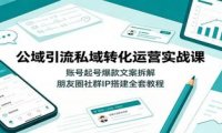 公域引流私域转化运营实战课:账号起号爆款文案拆解,朋友圈社群IP搭建全套教程