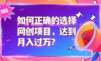 如何正确选择网创项目,避免被割韭菜,达到月入过1W及格线