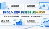低投入虚拟资源变现实战课:合规版权类目解析,多平台SEO引流私域成交