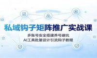 私域钩子矩阵推广实战课:多账号安全搭建养号避坑,AI工具批量设计引流钩子教程