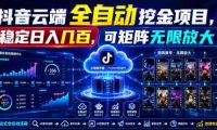 Dy云端全自动挖金项目,稳定日入几百,可矩阵无限放大!【揭秘】